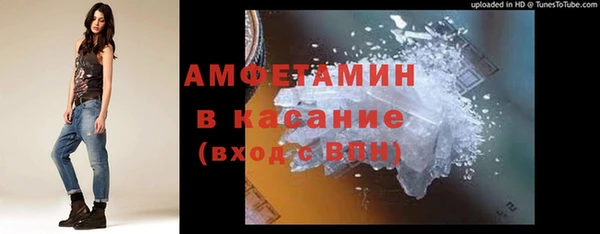 ГАЛЛЮЦИНОГЕННЫЕ ГРИБЫ Аркадак