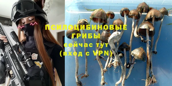 ГАЛЛЮЦИНОГЕННЫЕ ГРИБЫ Аркадак