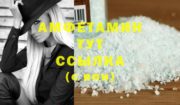 ГАЛЛЮЦИНОГЕННЫЕ ГРИБЫ Аркадак
