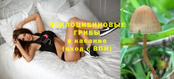 метадон Арсеньев