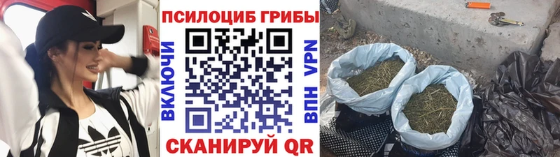 Галлюциногенные грибы Cubensis  darknet наркотические препараты  Переславль-Залесский 